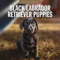 Red Robin Labrador Retriever Schwarz Welpen Kalender 2027