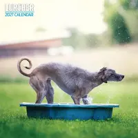 Magnet & Steel Lurcher-Kalender 2027