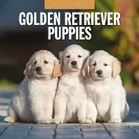 Red Robin Golden-Retriever-Welpen Kalender 2027