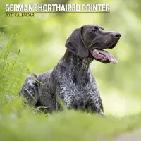 Magnet & Steel Deutsche Vorstehhunde Kalender 2027