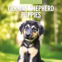 Red Robin Deutscher Schäferhund Welpen Kalender 2026