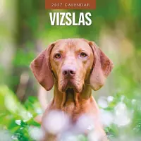 Red Robin Vizsla Kalender 2027