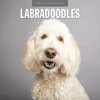 Red Robin Labradoodle-Kalender 2027