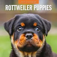 Red Robin Rottweiler-Welpen Kalender 2027
