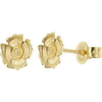Trendor 21999 Damen-Ohrringe Florale Ohrstecker 925 Silber Vergoldet