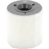 Champion Luftfilter caf100487c Filtereinsatz 170mm für VW VAG