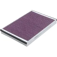 PURFLUX Filter, Innenraumluft aha170 für GENERAL MOTORS