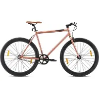 Bikestar Singlespeed 1 Gang Shimano für Damen und Herren