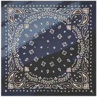 Codello Modetuch "Tuch" mit Paisley-Muster