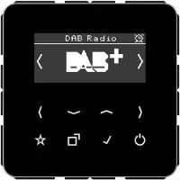 JUNG DABCDSW Smart Radio DAB+, Serie CD, schwarz DAB CD SW