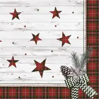 Duni Dunilin-Serviette 40 x 40 cm Naturally winter, 225 Stk/Krt (5 x 45 Stk)