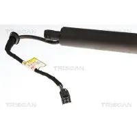 TRISCAN Gasfeder, Koffer-/Laderaum 871043317 für HYUNDAI
