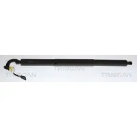 TRISCAN Gasfeder, Koffer-/Laderaum 8710 11373