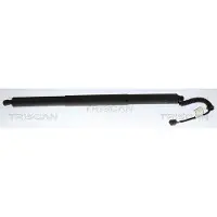 TRISCAN Gasfeder, Koffer-/Laderaum 8710 29343