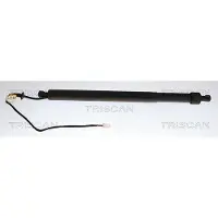 TRISCAN Gasfeder, Koffer-/Laderaum 8710 28307