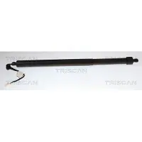 TRISCAN Gasfeder, Koffer-/Laderaum 8710 28311