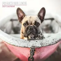 Magnet & Steel Französische Bulldogge Kalender 2027
