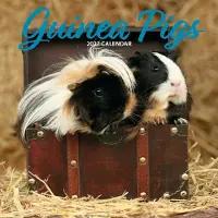 Magnet & Steel Meerschweinchen Kalender 2027