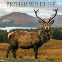 Magnet & Steel Britische Tierwelt Kalender 2027