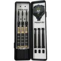Pegasi Dartpfeile Set 22 g Golden Skull