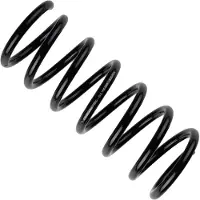 BILSTEIN Fahrwerksfeder 36317158 Hinterachse für FORD