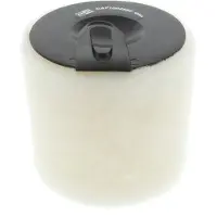 Champion Luftfilter caf100458c Filtereinsatz 195mm für BMW (BRILLIANCE)