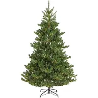 Kaemingk Alba Tanne künstlicher Weihnachtsbaum vorbeleuchtet Ø. 116-H180 cm grün/warmweiß (groen)