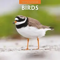 Red Robin Vögel Kalender 2027