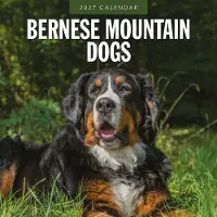 Red Robin Berner Sennenhund Kalender 2027