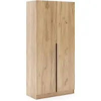 BM-Möbel Riva Drehtürenschrank 100 cm Craft Gold – 2-türig mit Kleiderstange, B/T/H 100x42x245 cm