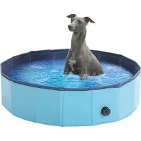 OEM PVC-Hundebad für mittelgroße Hunde - Opvouwbaar - Blauw - Maat L - 120x30 cm