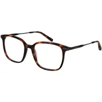 Ted Baker Brillenfassung TB8295 407 54