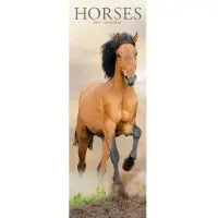 Avonside Publishing Ltd. Pferde Kalender 2027 Slimline