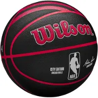 Wilson Electronics 2023 Nba Team City Collector Chicago Bulls