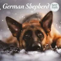Magnet & Steel Deutscher Schäferhund Kalender 2027 Deluxe