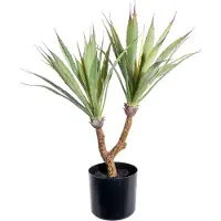 Creativ Green Künstliche Zimmerpflanze "Agave"