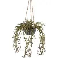 Creativ Green Kunstpflanze "Hängepflanze Rhipsalis pilocarpa" in grauem Hängetopf