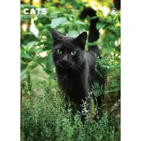 CalendarsRUs Katzen A3 Kalender 2027