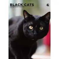 CalendarsRUs Schwarze Katzen A3-Kalender 2027