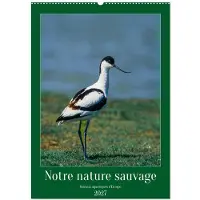 CALVENDO Unsere wilde Natur, Wasservögel Europas (Wandkalender 2027, DIN A2, horizontal), Monatskalender