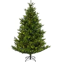Kaemingk Everlands Nordmann Tanne LED