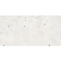 Fineza Gravity Bodenfliese cosmic 60x120 cm matt GRAVITY612CO
