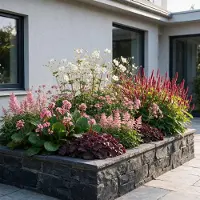 Green Boutiq - Stauden - Beetpaket - Schatten - Verschiedene - Arten und Farben - 12 Pflanzen - Topf 11cm - Höhe 15-25cm