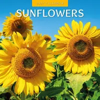 Red Robin Sonnenblumen-Kalender 2027