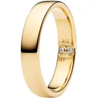 Pandora 164776C01 Damen-Ring Klassische Schiene Goldfarben