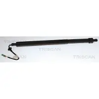 TRISCAN Gasfeder, Koffer-/Laderaum 8710 28310
