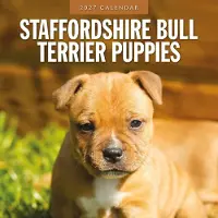 Red Robin Staffordshire Bull Terrier Welpen Kalender 2027