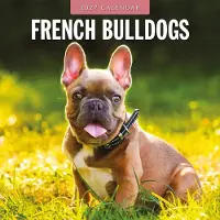 Red Robin Französische Bulldogge Kalender 2027