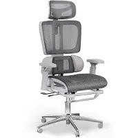 Di volio Bürostuhl Romalo – ergonomischer Schreibtischstuhl mit Kopfstütze & Fußstütze, atmungsaktives Mesh, grau