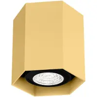 Wever & Ducre Downlight HEXO MINI CEILING SURF 1.0 PAR16 G gold 258420G0 5404037324255